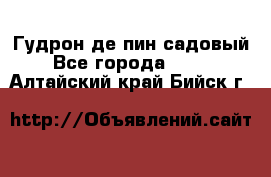 Гудрон де пин садовый - Все города  »    . Алтайский край,Бийск г.